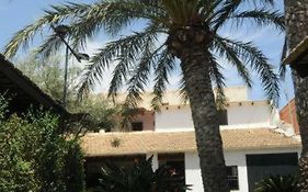 Palm Trees&Sun Bed